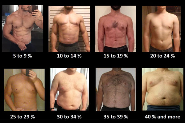 What 4 Specific Body Fat Percentage Ranges Look Like on Men - Muscle &  Fitness