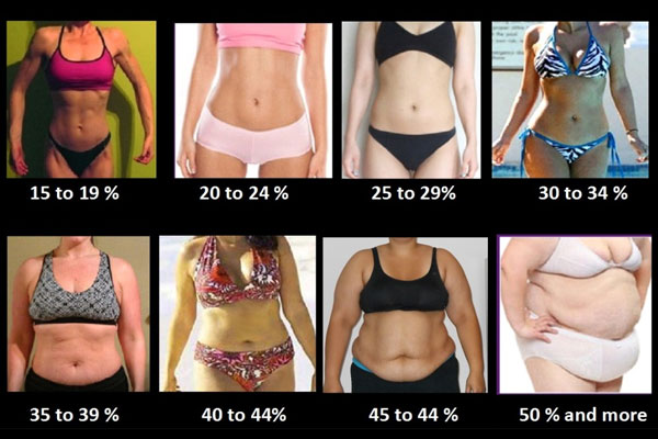 Body Fat Percentage