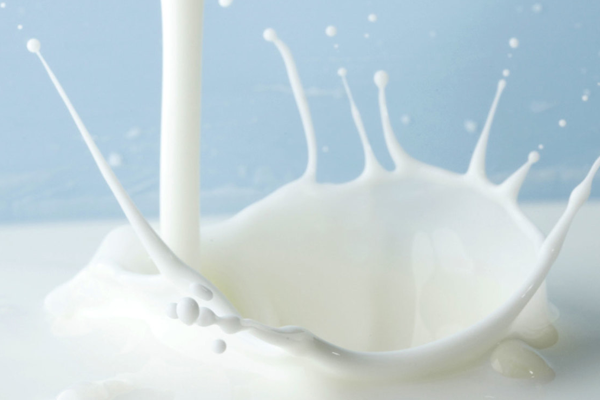 Milk Debate