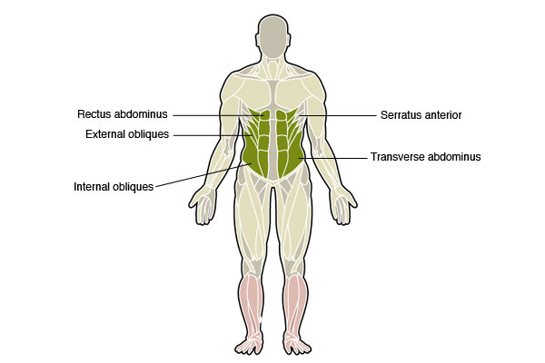 Perfect Abs Training