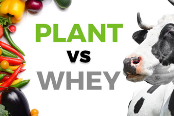 Plant vs Whey Protein