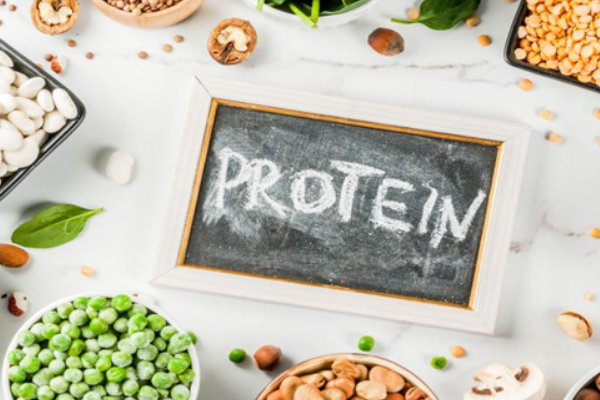 Protein for Building Muscle