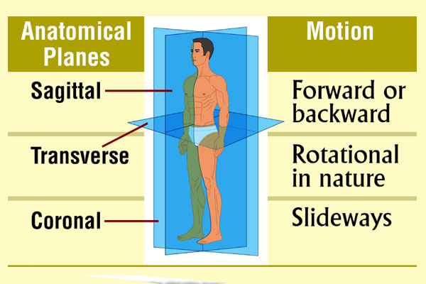 Rotational Sports Performance